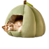 1 Pumpkin-Shaped Pet Bed
