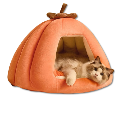 2 Pumpkin-Shaped Pet Bed
