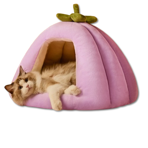 3 Pumpkin-Shaped Pet Bed