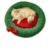 Christmas Tree Pet Bed - Lambs Wool Detachable Cat Dog Bed, Thick PP Cotton Filling, Holiday Theme | OEM/ODM