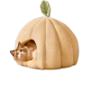 4 Pumpkin-Shaped Pet Bed - Detachable & Washable, Plush Fabric, Non-Slip Bottom for Cats & Dogs | OEM/ODM
