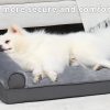 dog bed