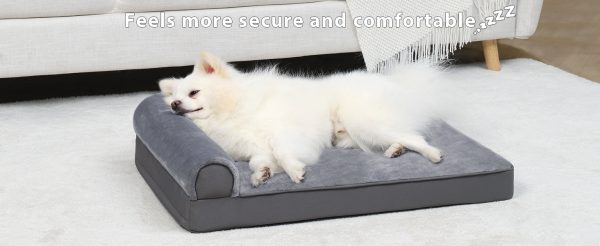dog bed
