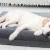 Flannel Detachable Waterproof Pet Sofa