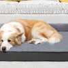 Flannel Detachable Waterproof Pet Sofa