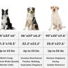 dog bed size