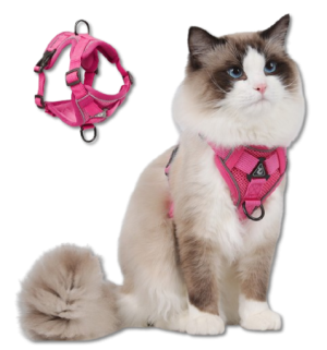 首图 Pet Harness Set
