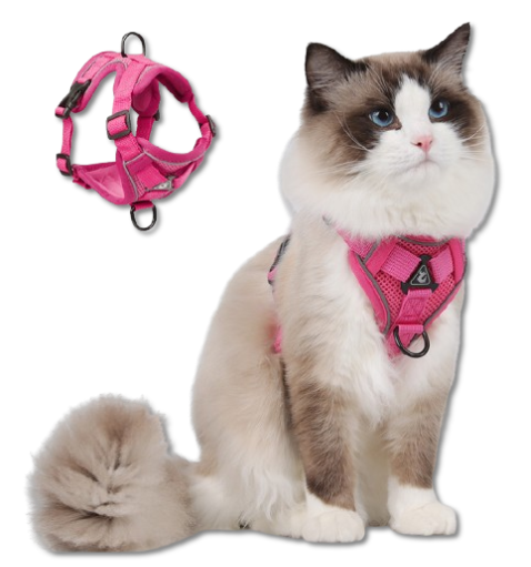 首图 Pet Harness Set