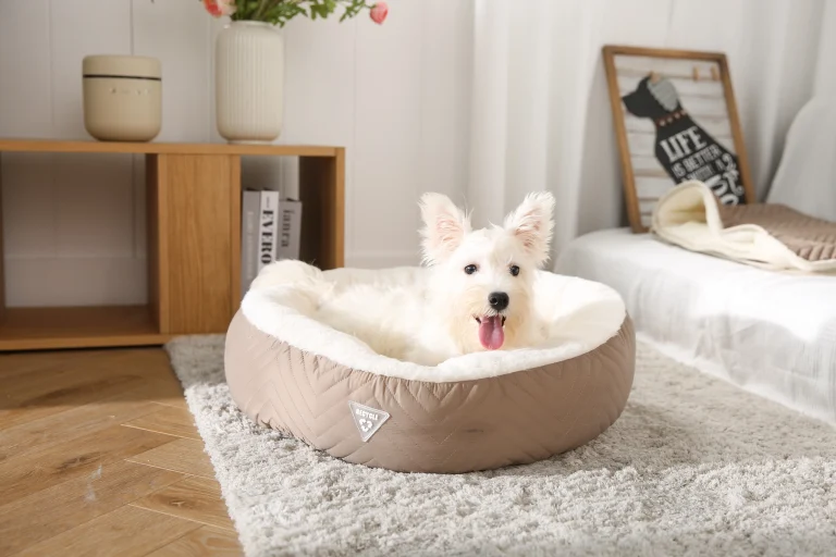 Recycled material pet accessories
