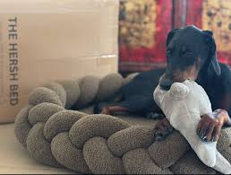 The Hersh ☁️ Luxury Dog Beds (@thehershbed) • Instagram photos ...