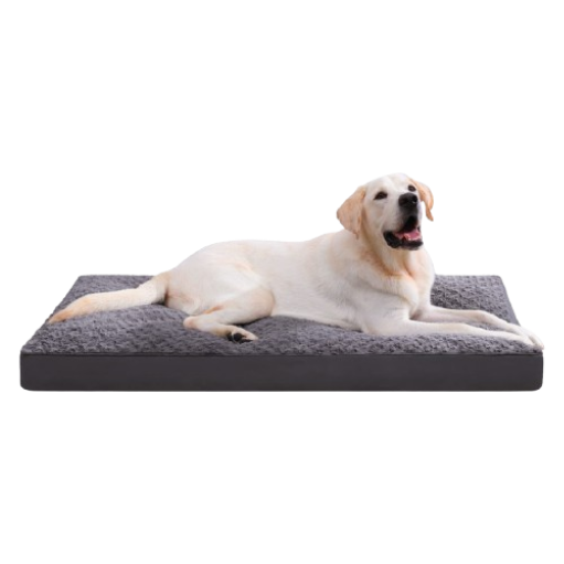 pet bed