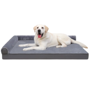 dog bed