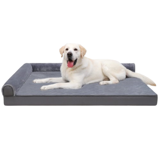 dog bed