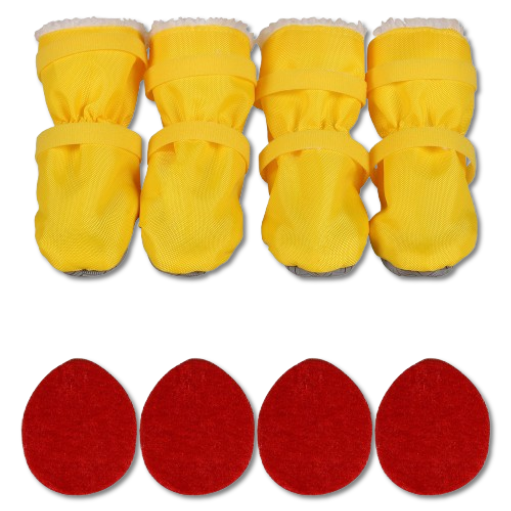 Pet Shoes