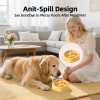 Anti-Spill Slow Feeder Bowl