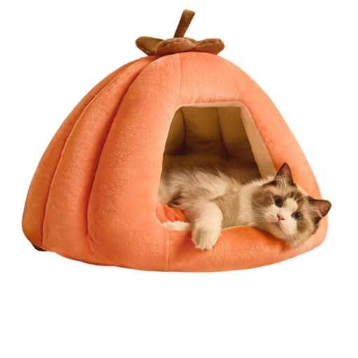 pet bed