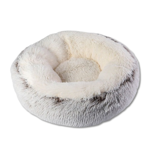 pet beds